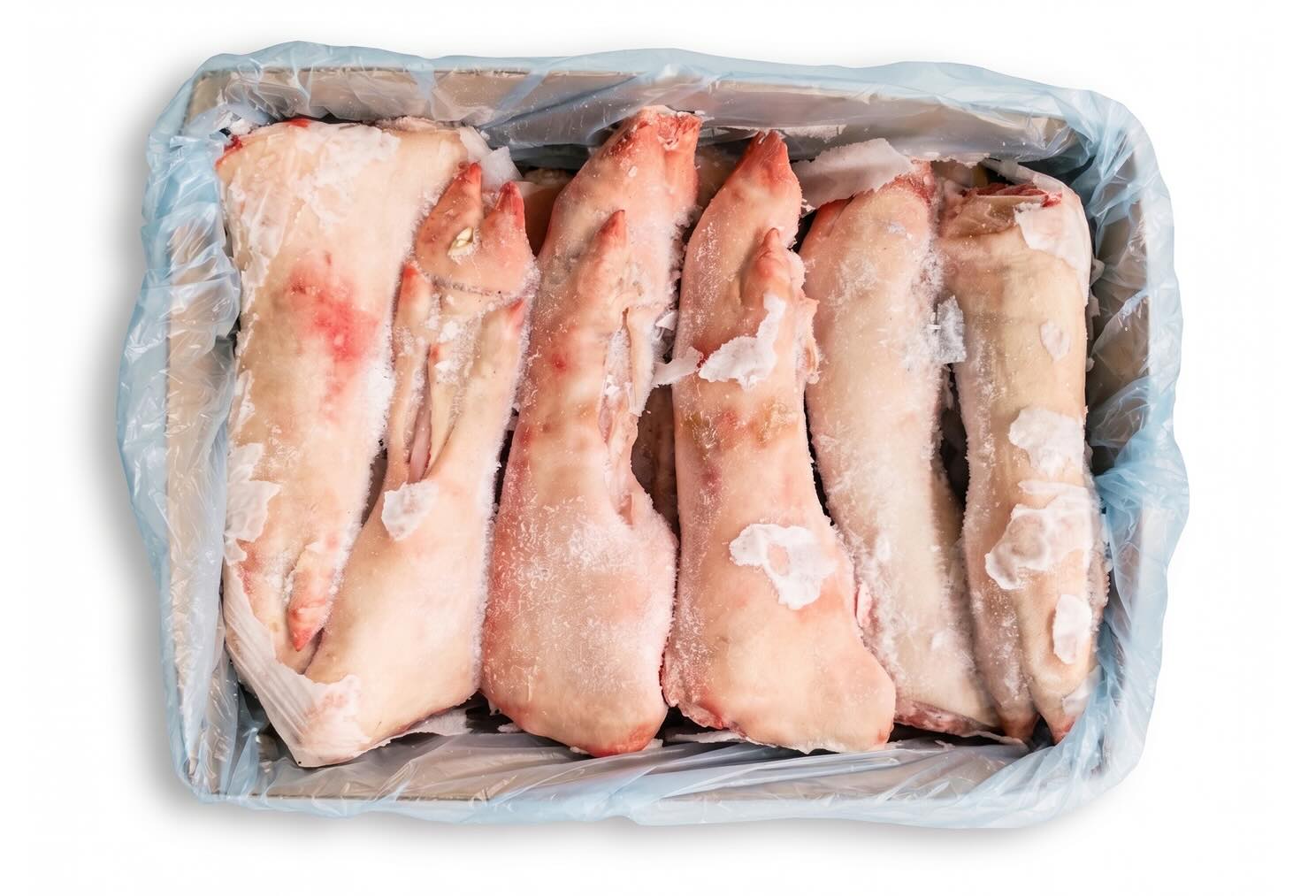 Un cartone da 10 kg di zampe posteriori di maiale congelate, rivestito con sacchetto di plastica