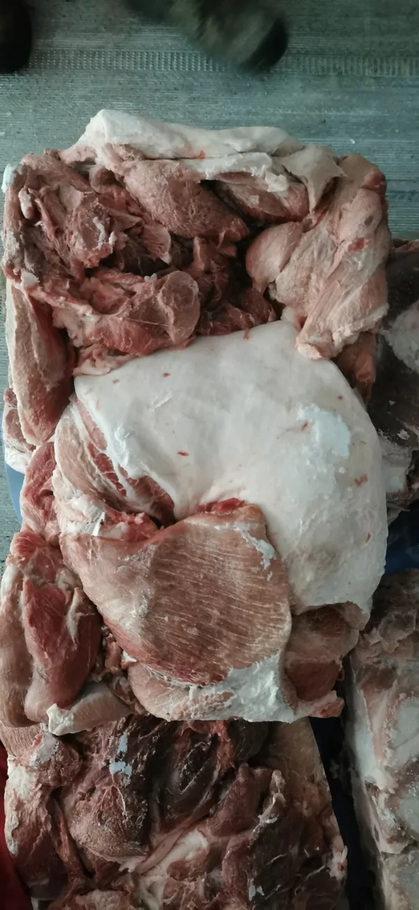 pork shoulder 2D