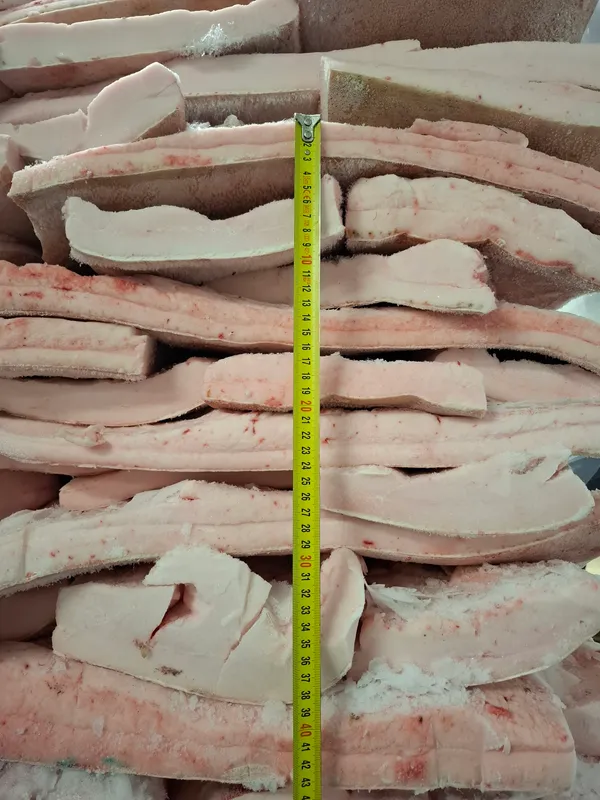 Iberian pork back fat 3+ 6