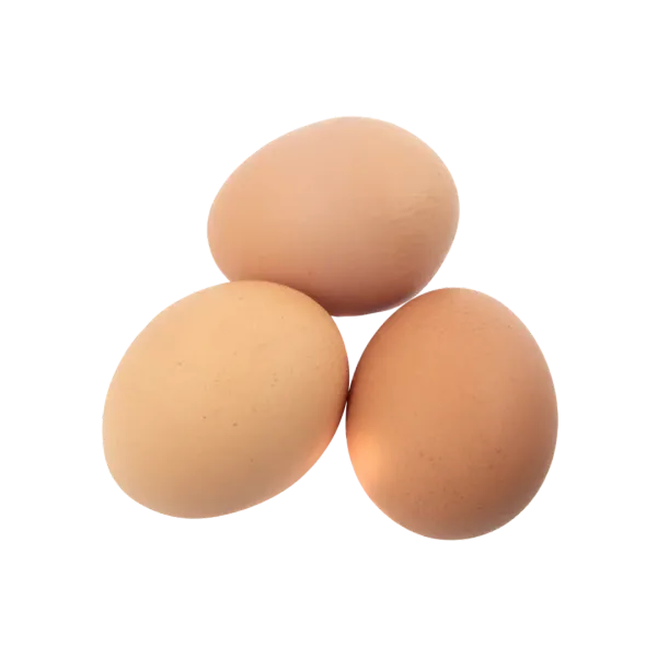 Fertile Hatching Eggs