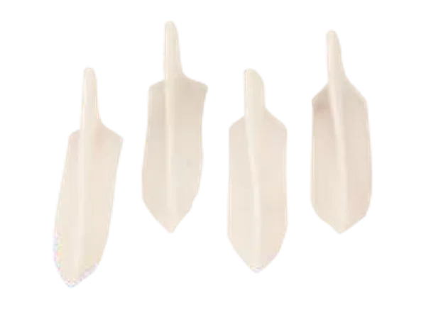 Frozen Chicken Breast Cartilage