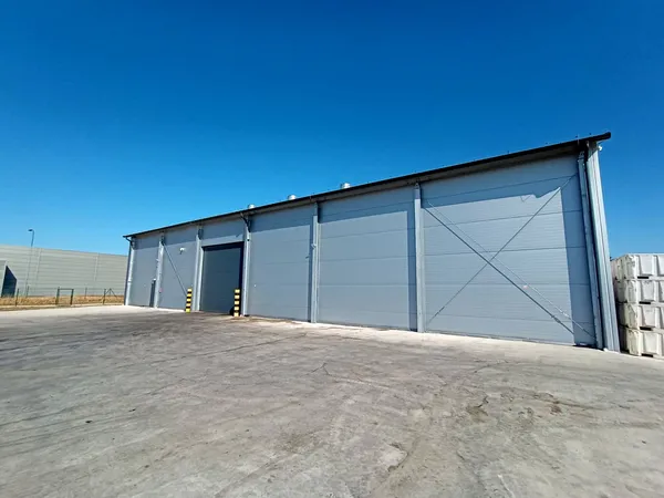 P. H. "NAVO" Iwona Baur cover