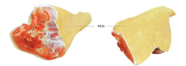 Ham with bone and skin
