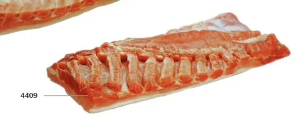 Belly boneless with skin