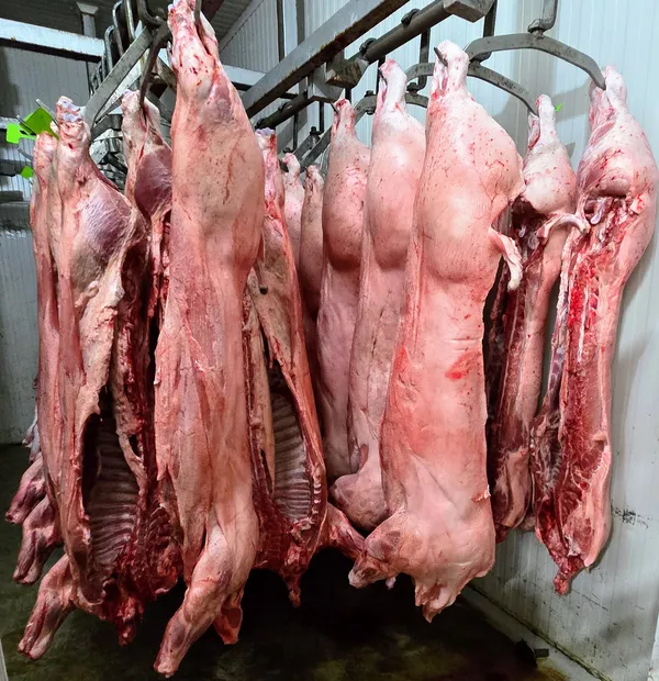 Pork sides skinned