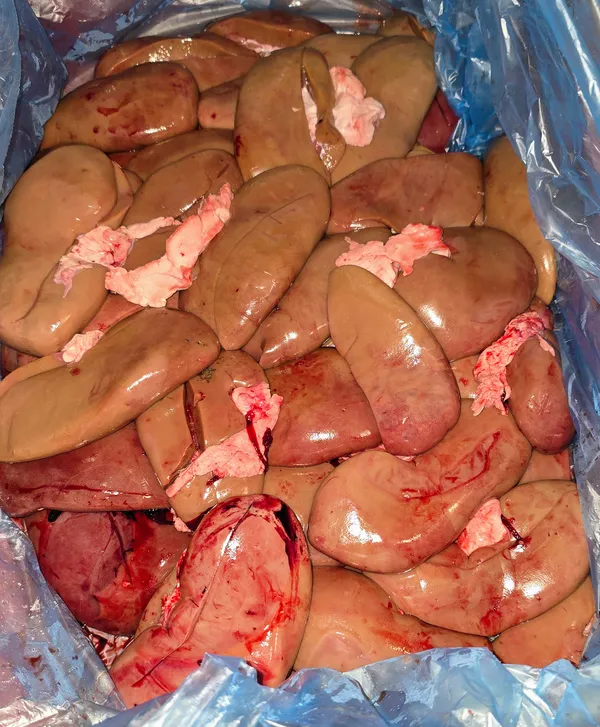 Pork kidneys