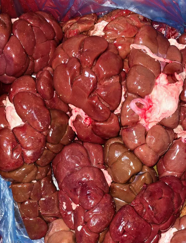 Beef kidneys