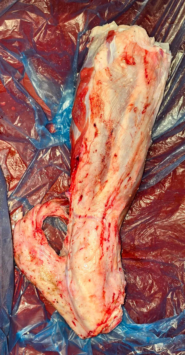 Beef shank (bone-in)