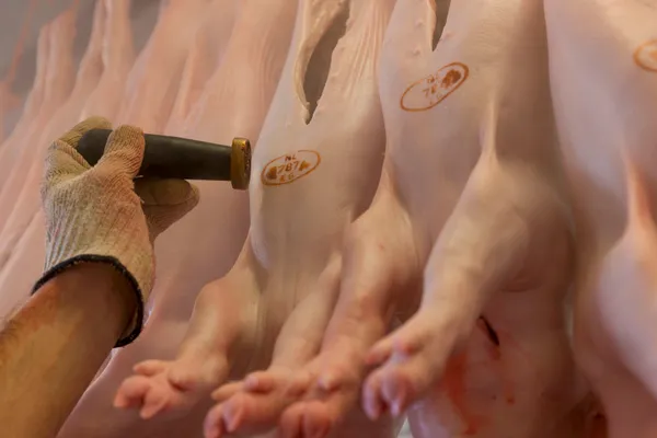 Pigarné | Young Pork Meat cover