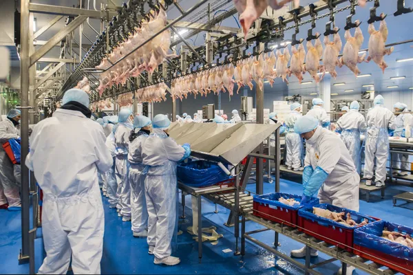 slaughterhouse