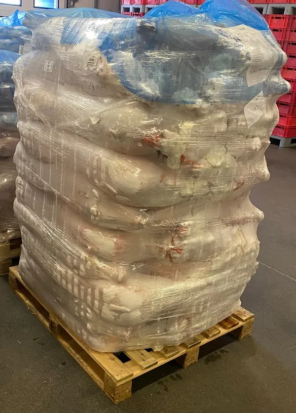 Piglet 30-35  kg
