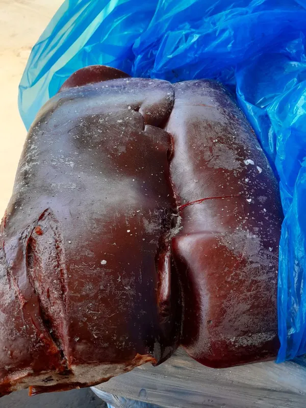 Frozen Beef liver
