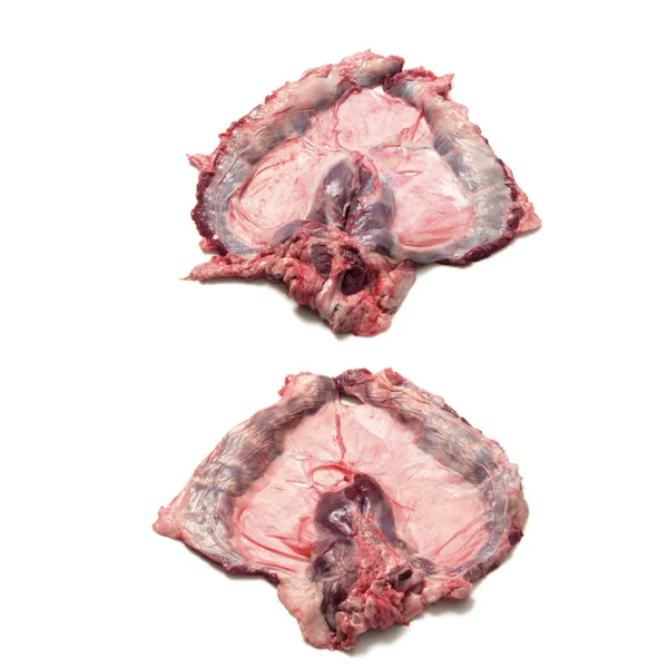 Pork diaphragm