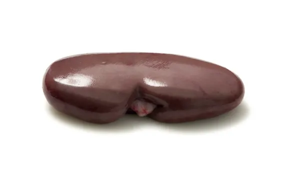 Pork kidney