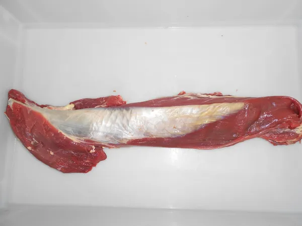 TENDERLOIN CHAIN OFF 15,10 EURO EXW 