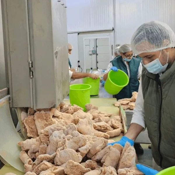 Rigorous food-safety governance built on HACCP, GMP, BRC certification