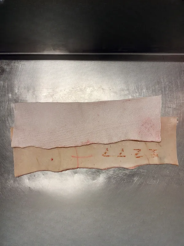 Pork Back Rind Frozen 2