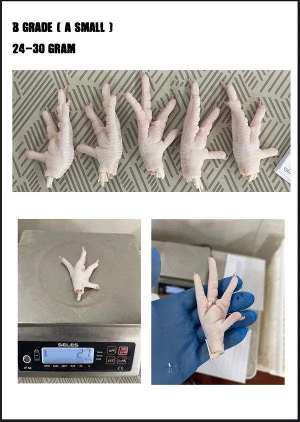 Chicken Paws (min 23-24gr), grade B