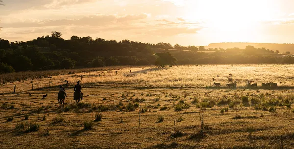 Block House Fleischerei GmbH cover
