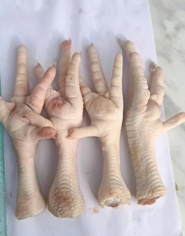 Chicken Feet