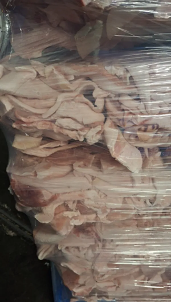 Frozen pork rinds with fat full truck
