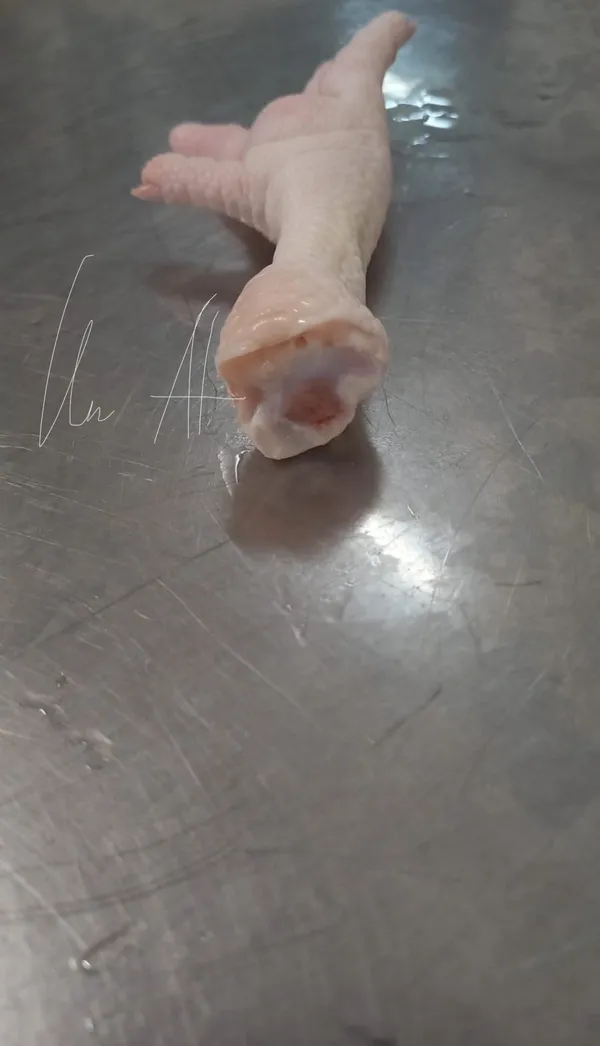 大爪  _ FROZEN CHICKEN FEET 