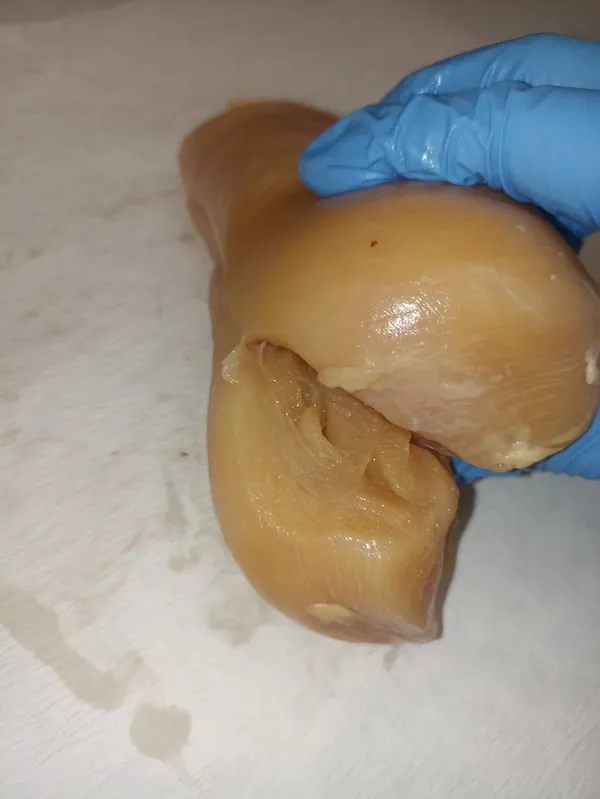 Whole corn-fed chicken breast (butterfly / double breast)