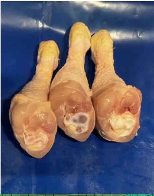 Yellow skin chicken meat cuts