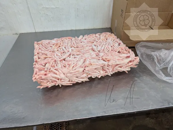 凤爪 _ FROZEN CHICKEN  PAWS , GACC  2