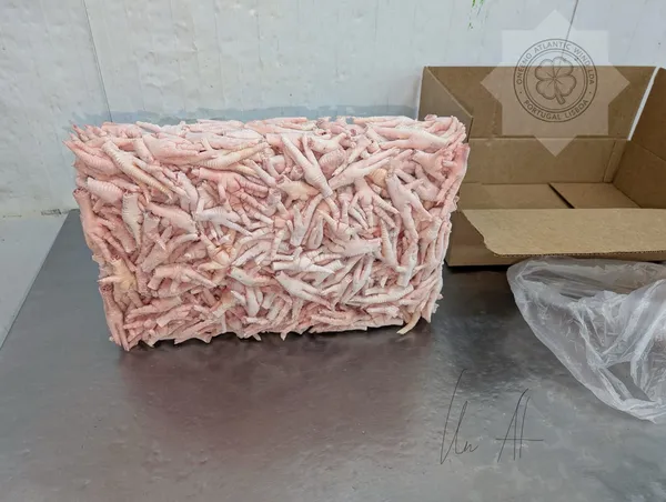 凤爪 _ FROZEN CHICKEN  PAWS , GACC  3