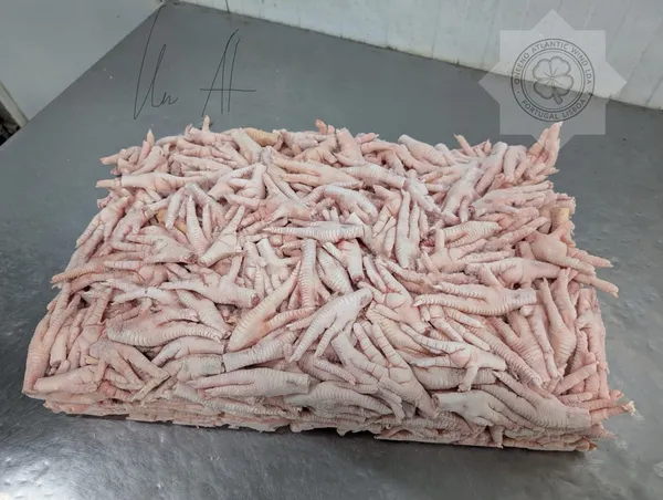 凤爪 _ FROZEN CHICKEN  PAWS , GACC  4
