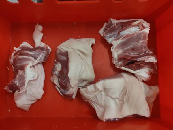 Frozen pork hind shank boneless - 21000 kg