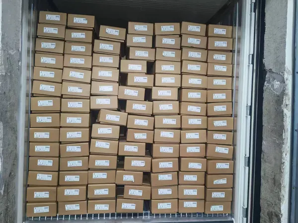 Frozen Chicken Breast 3