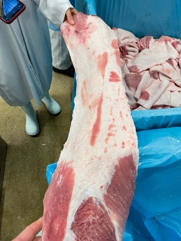 Frozen pork back fat meaty skinless 3