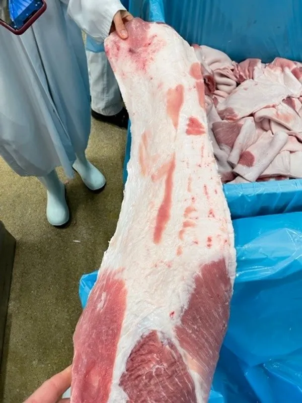 Frozen pork back fat meaty skinless 4