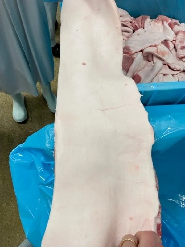 Frozen pork back fat meaty skinless 5