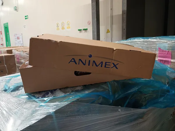 Frozen pork tenderloin // with head // w/o chain//1 piece vac// 10 kg carton 5