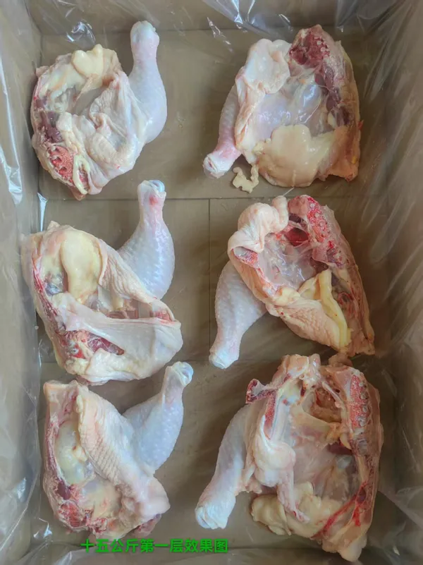 Frozen Chicken Leg Quarters | Grade A | Halal Certified 2