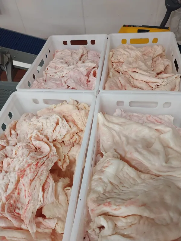 Beef Caul Fat Halal 4