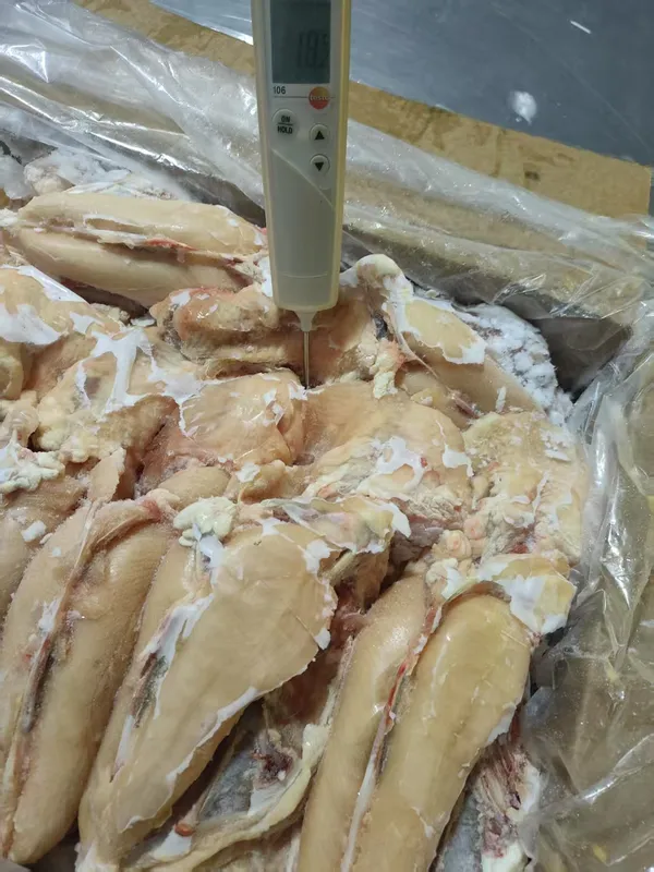 Chicken frame with neck and tenderloin 3