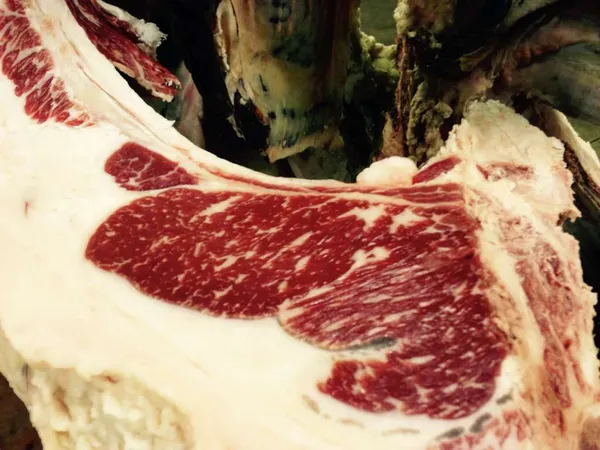 Canadian F1 Wagyu beef - fit for EU - halal 2