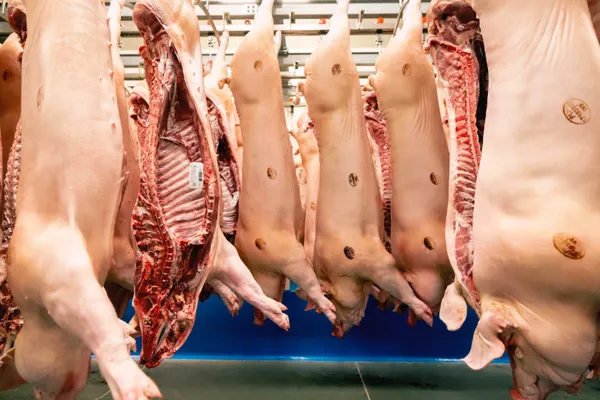 Pork half carcass