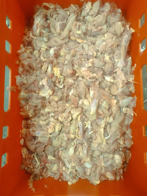 Chicken Breast Fillet Trimmings (hen) 2