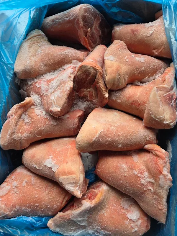 Frozen pork front hock/shank meat bone in, skin on, Weight: 1.2+ kg / piece
