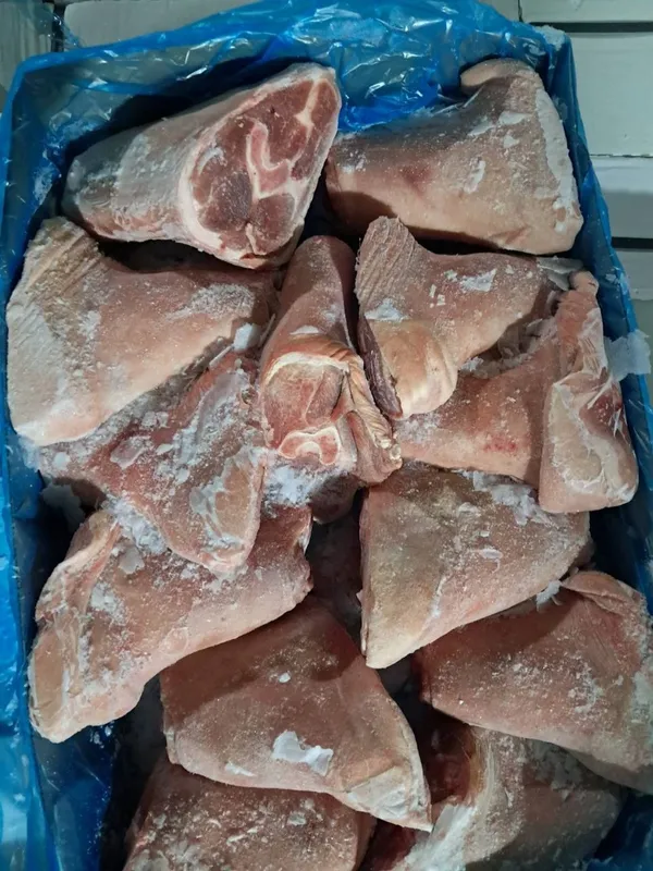 Frozen pork front hock/shank meat bone in, skin on, Weight: 1.2+ kg / piece 2