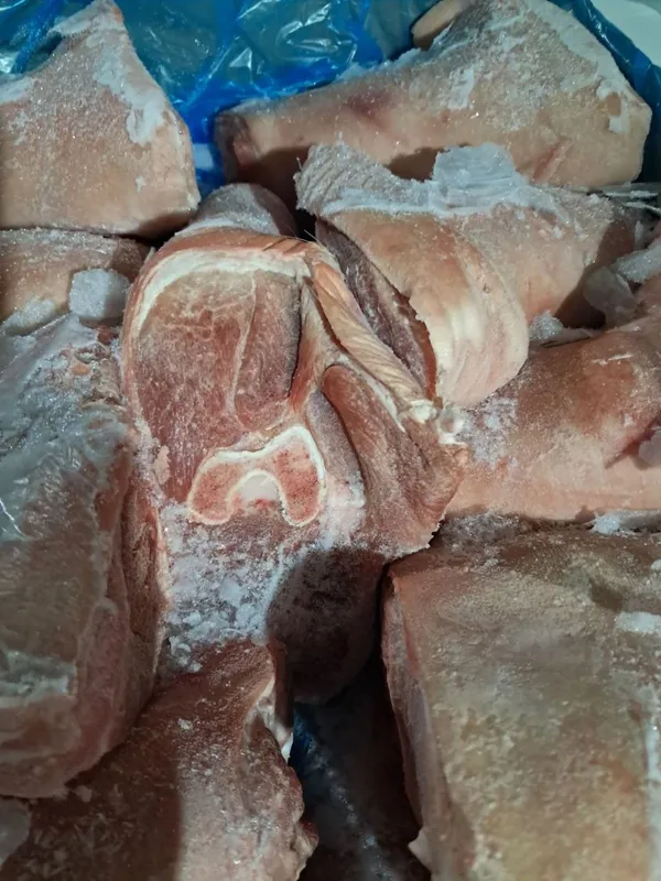 Frozen pork front hock/shank meat bone in, skin on, Weight: 1.2+ kg / piece 3