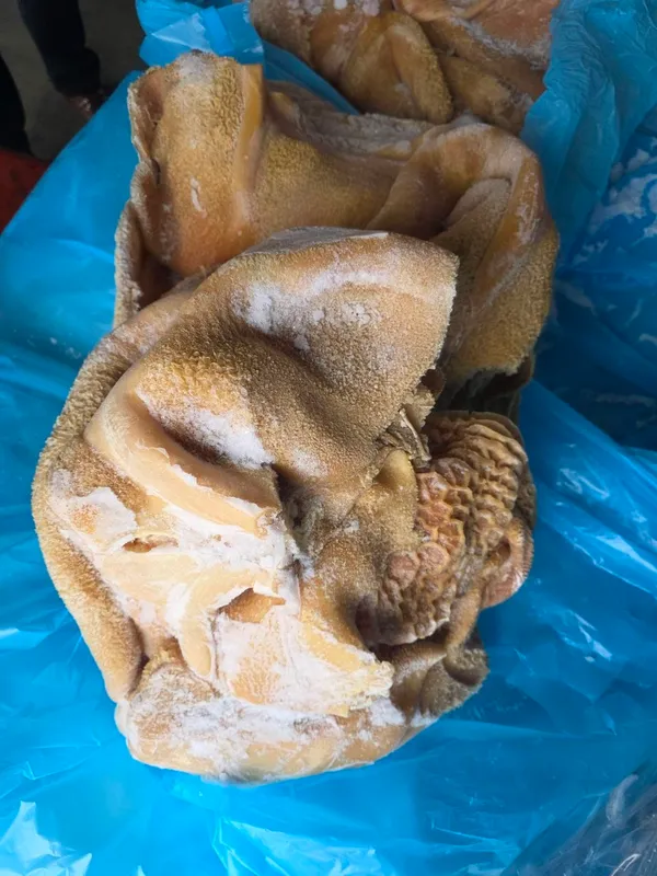 Frozen beef tripe with honeycomb - scalded, unbleached 2