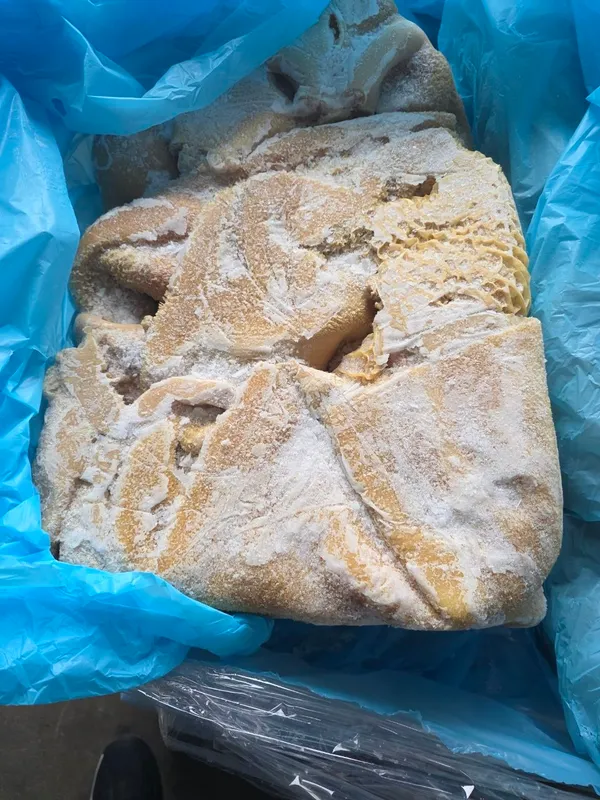 Frozen beef tripe with honeycomb - scalded, unbleached 4