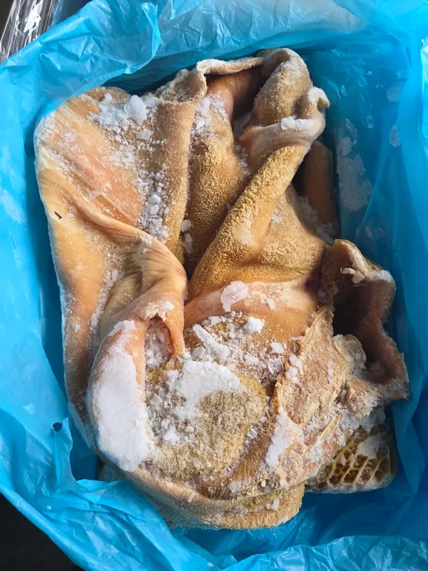 Frozen beef tripe with honeycomb - scalded, unbleached 5
