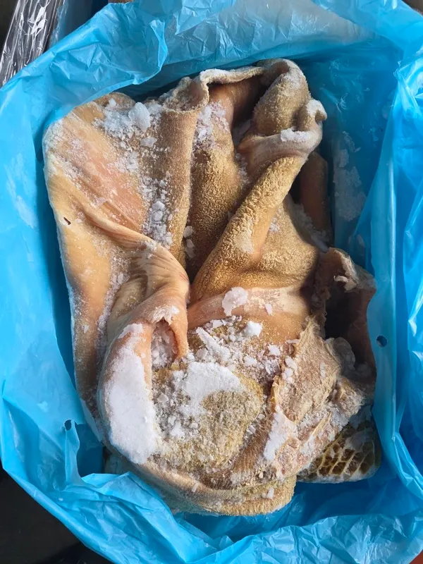 Frozen beef tripe with honeycomb - scalded, unbleached 6